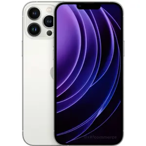 Apple iPhone 13 Pro Max 1 To argent pas cher