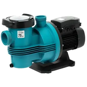 OEM Pompe de filtration PULSO 1.5 cv Monophase 22 m3 par heure pas cher