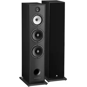 Enceinte colonne Triangle BR10 Noir vendue à l'unité pas cher