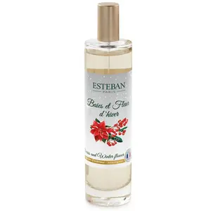Esteban Vaporisateur baies et fleur d’hiver pas cher