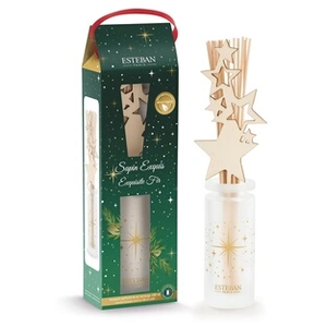 Comparateur de prix : Parfum d'intérieur Esteban Bouquet initial Sapin exquis