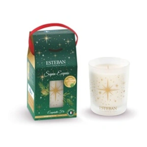 Bougie Esteban Sapin exquis 180 g pas cher