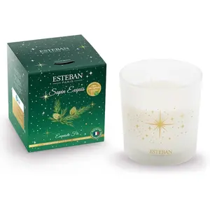 Esteban - Sapin exquis Bougies 450 g unisex pas cher