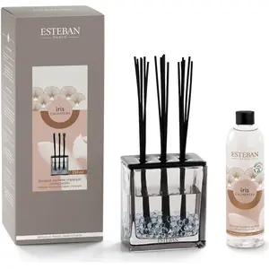 Esteban Bouquet parfumé triptyque 250ml pas cher