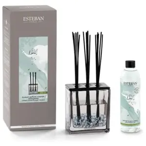 Esteban Bouquet parfumé triptyque 250ml pas cher