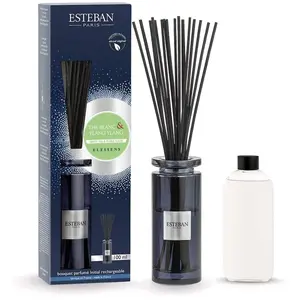 Esteban Bouquet parfumé thé blanc & ylang-ylang pas cher
