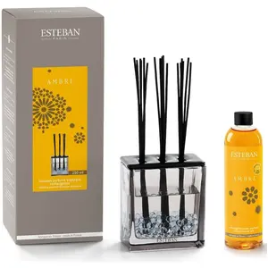 Bouquet parfumé triptyque Ambre - Esteban pas cher