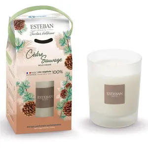 ESTEBAN Bougie parfumé rechargeable - Cèdre Sauvage 180gr pas cher