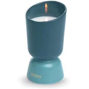 Esteban Bougie iconic color 220g figue noire pas cher