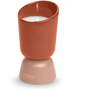 Esteban Bougie iconic color 220g iris cachemire pas cher
