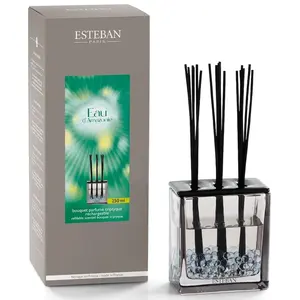Bouquet parfumé triptyque 250ml