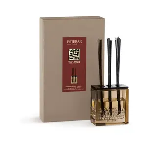 Bouquet parfumé Teck et Tonka - Esteban pas cher