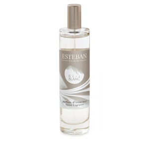 Esteban - Rêve blanc Diffuseurs et parfums d'intérieur 75 ml unisex