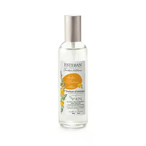 Comparateur de prix : Esteban Vaporisateur de parfum - Ambre et Baumes 100 ml