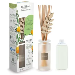 Comparateur de prix : Esteban Bouquet parfumé rechargeable - Orange et Thé Vert 100ml