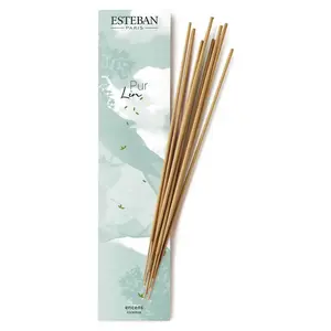 Comparateur de prix : Esteban Encens indiens 20 bâtonnets Pur lin