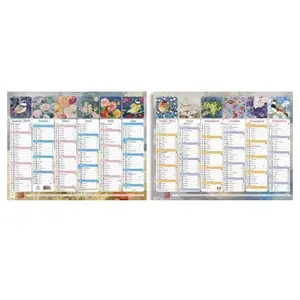 Calendrier Exacompta Sophie Adde 29,5x22 cm Janvier à Décembre 2025 pas cher