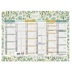Calendrier illustré semestriel Exacompta Dodo et Cath pas cher