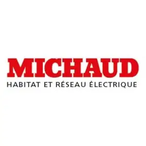 Module branchement direct mono rbd rembt G3 Michaud Q610 pas cher
