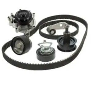 Sasic 3900015 Kit Dist. Pompe A Eau pas cher