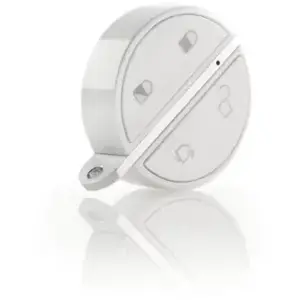 Somfy 2401489 - Badge d'activation et désactivation Home Alarm