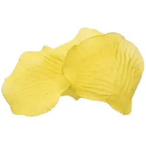 RueDeLaFete Boite pvc 100 Pétales de rose synthétiques, Jaune pas cher