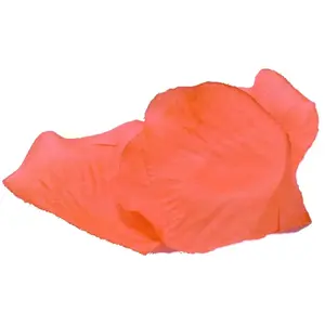 Hobi Mariage 100 Pétales de Rose synthétiques, Corail pas cher