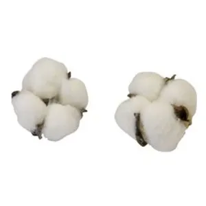 6 fleurs de coton - hobi dek0815 pas cher