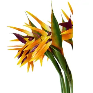 RueDeLaFete Fleur artificielle - Oiseau de Paradis - Strelitzia reginae - Très réaliste - Intérieur pas cher