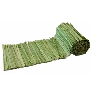 RueDeLaFete Ruban en fibres de feuille de palme 10cmx1m, Vert pas cher