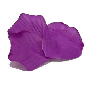 HOBI Boite pvc 100 Pétales de rose synthétiques, Prune DEC336prune pas cher