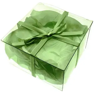 RueDeLaFete Boite pvc 100 Pétales de rose synthétiques, Vert pas cher