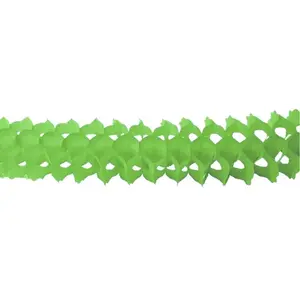 RueDeLaFete Guirlande Zinnia 4m - Vert pas cher