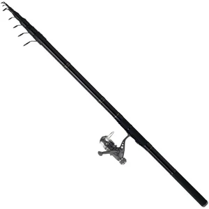 Daiwa Combo Carpfishing Reglable 11