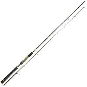 Daiwa Canne Jigging Crosscast Shore