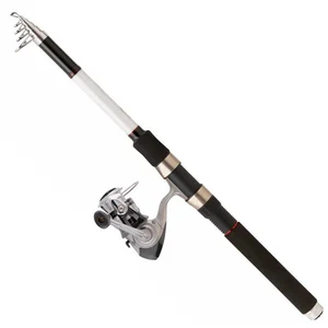 Comparateur de prix : Canne à pêche - DAIWA - SW 21 T AF + Q8 30 FM - Pêche en mer - Nylon - Mixte
