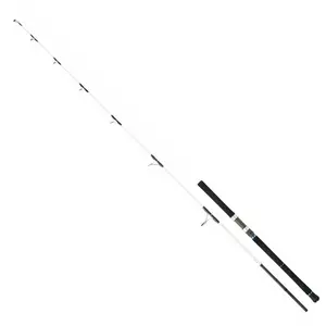 Daiwa Canne Spinning Saltist Off Shore