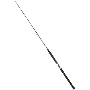 Comparateur de prix : Daiwa Saltist Spinning Rod Noir 2.59 m / 80-180 g