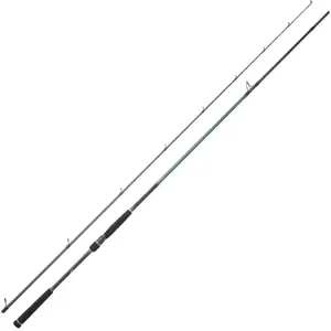 Daiwa Canne Spinning Caldia Seabass pas cher