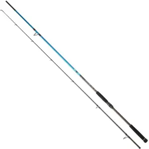 Daiwa Canne Spinning Spitfire SeabassVendu parwaveinn