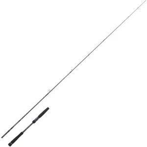 Daiwa Canne Spinning Labrax Seabass pas cher