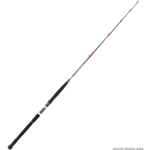 Comparateur de prix : Canne Spinning Mer Daiwa Saltist Travel 2020 : Modèle Canne - 804 XHFS