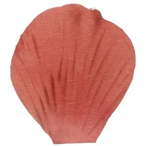 RueDeLaFete Sachet de 100 pétales avec feuilles coloris Terracotta pas cher