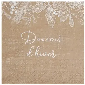 Comparateur de prix : 20 SERVIETTES PAPIER DOUCEUR D'HIVER 33CM NATURE