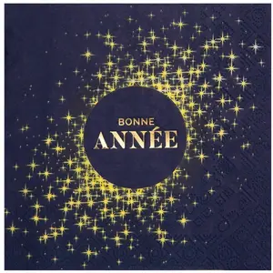 Santex 10 SERVIETTES PAPIER BONNE ANNÉE 33CM MARINE pas cher
