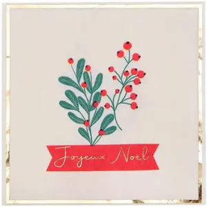 Comparateur de prix : Sachet de 10 Serviettes Houx de Noël 33x33cm en papier