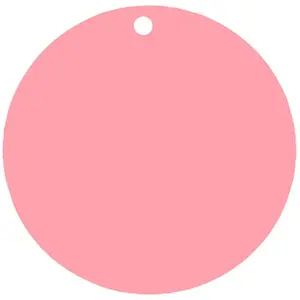 RueDeLaFete Sachet de 10 Marque places Ronds, Rose pas cher