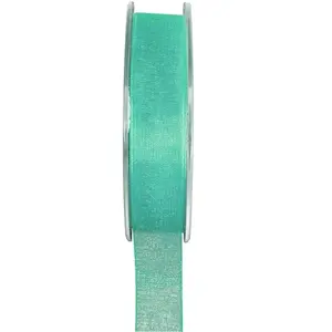 RueDeLaFete Ruban organdi 7 mm x 20m, Menthe pas cher