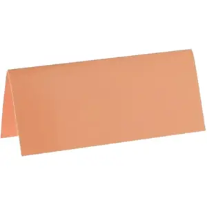 RueDeLaFete Marque-places Rectangulaires - Corail x 10 pas cher