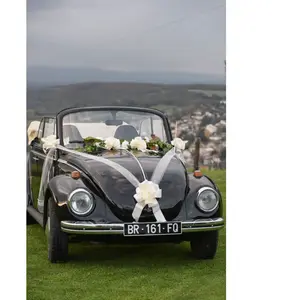 Santex kit déco voiture mariage 24.5x23.5x7cm blanc - chalayer 000514000000001 pas cher